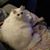Stacy Cole's profile image