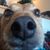 Misty Headrick's profile image