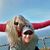 RobandMichelle Burns's profile image