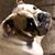 Kelly Freeman Moon's profile image