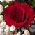 Sue Knight's profile image