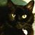 Pamela Ronquillo's profile image