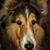 Patty Conzett's profile image