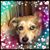 Delyn Stanley's profile image