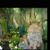 Jaco Light's profile image