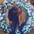 Kandace Ellerman's profile image