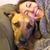 Laura Herrmann's profile image