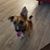 Brenda Turchi's profile image