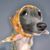 EnSalada DeLechuga's profile image