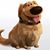 Alan Day's profile image