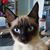 Mirjam Muller's profile image