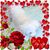 Marcia Parsons Rossi's profile image
