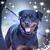 Kathy Starreveld's profile image