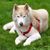 Joan Petersen's profile image