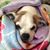 Dawn Slagter's profile image