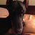 Patricia Pflug's profile image
