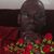 Robert Marshall's profile image