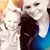 Jacklyn Rice's profile image