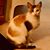 Sandra C Emerson's profile image