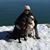 Beth Merrill-Belval's profile image
