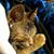 Joni Busch Potter's profile image