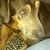 Debi Pound's profile image