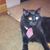 Kenneth Ray Carter's profile image