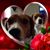 Paula Hoffman's profile image