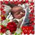 Renee Tinsman's profile image