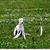 Shannon Hoehn's profile image
