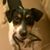 Gary Douglas's profile image