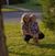 Debbie Kurty's profile image
