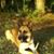 Bear Townsend's profile image