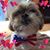 Beverly Klingel-Burtt's profile image