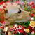 Traci Stahl's profile image