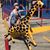 Candice B. Schippa's profile image