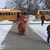 Tara Lynn Price's profile image