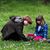 Lisa Huisingh Neely's profile image
