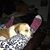 BriannLynn Lindsay's profile image