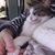 Diane Holler's profile image