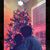 Ana Chevalier's profile image