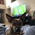 Kim Vowel's profile image