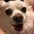 Dawn Poteat's profile image