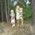 Deborah Benefield Toole's profile image
