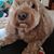 Kate Beck-Korst's profile image