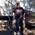 Doug Androschuk's profile image