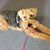 Judy Bell's profile image