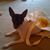 RoseAnn McKenry's profile image