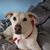 Crista Marie's profile image