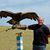 Ed Petroski's profile image